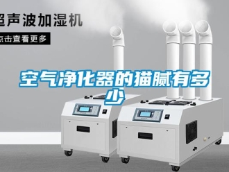 行業(yè)新聞空氣凈化器的貓膩有多少