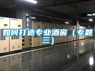 常見(jiàn)問(wèn)題如何打造專(zhuān)業(yè)酒窖（專(zhuān)題三）