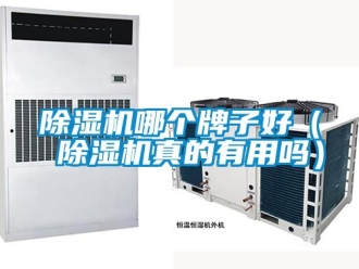 行業新聞除濕機哪個牌子好（ 除濕機真的有用嗎）