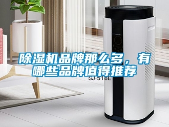 企業新聞除濕機品牌那么多，有哪些品牌值得推薦