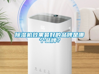 企業新聞除濕機效果最好的品牌是哪個品牌？