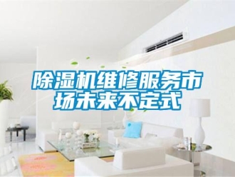 企業(yè)新聞除濕機(jī)維修服務(wù)市場未來不定式