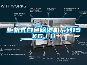 行業新聞柜機式白色除濕機系列15KG／H