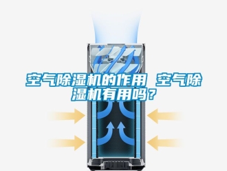 行業新聞空氣除濕機的作用 空氣除濕機有用嗎？