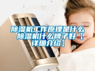 行業新聞除濕機工作原理是什么 除濕機什么牌子好【詳細介紹】