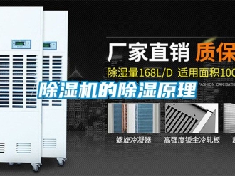 企業新聞除濕機的除濕原理