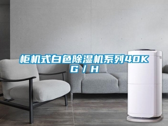 行業新聞柜機式白色除濕機系列40KG／H