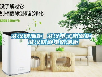 常見問題武漢防潮柜 武漢電子防潮柜 武漢防靜電防潮柜