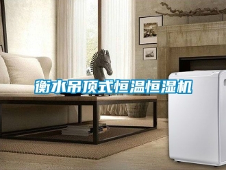 知識百科衡水吊頂式恒溫恒濕機(jī)