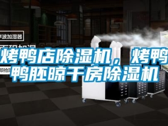 行業新聞烤鴨店除濕機，烤鴨鴨胚晾干房除濕機