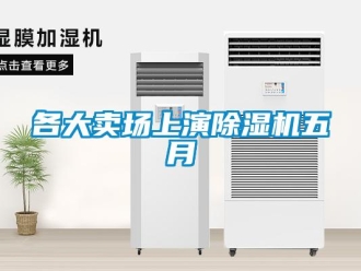 企業(yè)新聞各大賣場(chǎng)上演除濕機(jī)五月