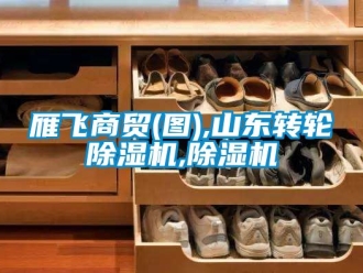 常見問題雁飛商貿(圖),山東轉輪除濕機,除濕機