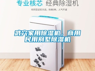 常見問題武穴家用除濕機(jī)，商用民用別墅除濕機(jī)
