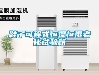 知識百科鞋子可程式恒溫恒濕老化試驗(yàn)箱