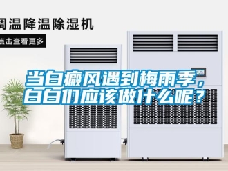 企業新聞當白癜風遇到梅雨季，白白們應該做什么呢？