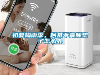 常見問題初夏梅雨季，柯基不肯睡墊子怎么辦