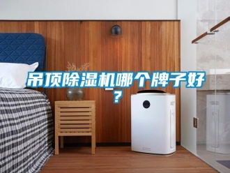 企業(yè)新聞吊頂除濕機(jī)哪個(gè)牌子好？