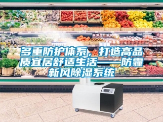 企業新聞多重防護體系，打造高品質宜居舒適生活——防霾新風除濕系統
