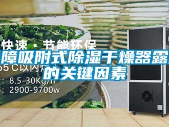 常見問題保障吸附式除濕干燥器露點(diǎn)的關(guān)鍵因素