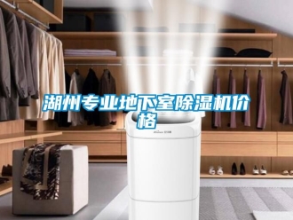 企業新聞湖州專業地下室除濕機價格