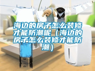 常見問題海邊的房子怎么裝修才能防潮呢（海邊的房子怎么裝修才能防潮）