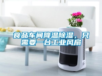 企業新聞食品車間降溫除濕，只需要一臺工業風扇
