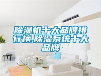 企業(yè)新聞除濕機(jī)十大品牌排行榜,除濕系統(tǒng)十大品牌