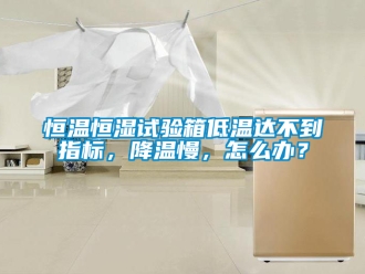 知識百科恒溫恒濕試驗箱低溫達不到指標，降溫慢，怎么辦？