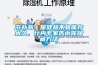 滋補品、保健品不宜保存太久，行內專家告訴你儲藏方法