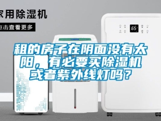 行業(yè)新聞租的房子在陰面沒(méi)有太陽(yáng)，有必要買除濕機(jī)或者紫外線燈嗎？