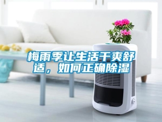 常見問題梅雨季讓生活干爽舒適，如何正確除濕