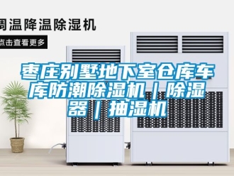 企業(yè)新聞棗莊別墅地下室倉庫車庫防潮除濕機(jī)｜除濕器｜抽濕機(jī)