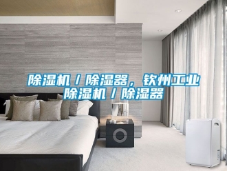 常見問題除濕機(jī)／除濕器，欽州工業(yè)除濕機(jī)／除濕器