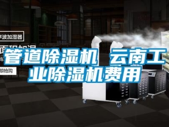 常見問題管道除濕機 云南工業(yè)除濕機費用