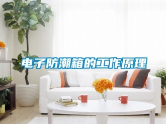 常見問題電子防潮箱的工作原理