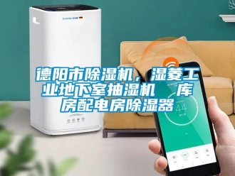 常見問題德陽市除濕機(jī)，濕菱工業(yè)地下室抽濕機(jī)  庫房配電房除濕器