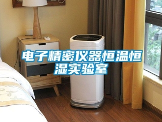 知識百科電子精密儀器恒溫恒濕實驗室