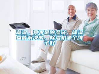 企業新聞潮濕，真不是除濕袋、除濕盒能解決的，除濕機哪個牌子好