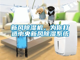 知識百科新風除濕機，為你打造中央新風除濕系統