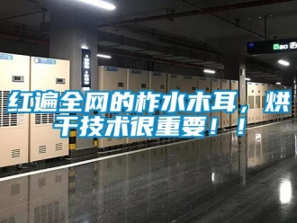 行業新聞紅遍全網的柞水木耳，烘干技術很重要！！
