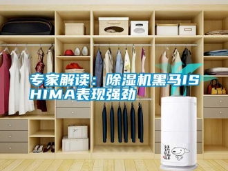 知識(shí)百科專(zhuān)家解讀：除濕機(jī)黑馬ISHIMA表現(xiàn)強(qiáng)勁