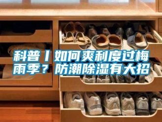 常見問題科普丨如何爽利度過梅雨季？防潮除濕有大招