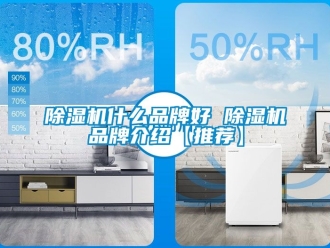 企業新聞除濕機什么品牌好 除濕機品牌介紹【推薦】