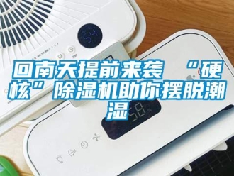 行業(yè)新聞回南天提前來襲 “硬核”除濕機助你擺脫潮濕