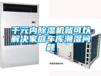 常見問題千元內除濕機就可以解決家庭車庫潮濕問題