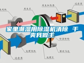 行業(yè)新聞家里潮濕用除濕機(jī)清除 干爽我做主