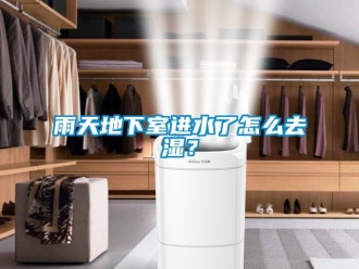 常見問題雨天地下室進水了怎么去濕？