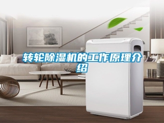 常見問題轉(zhuǎn)輪除濕機的工作原理介紹