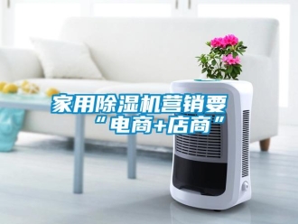 行業新聞家用除濕機營銷要“電商+店商”