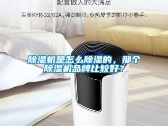 常見問題除濕機是怎么除濕的，那個除濕機品牌比較好？